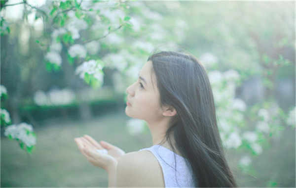 安福验血查男女几周可以验(验血查男女结果图)